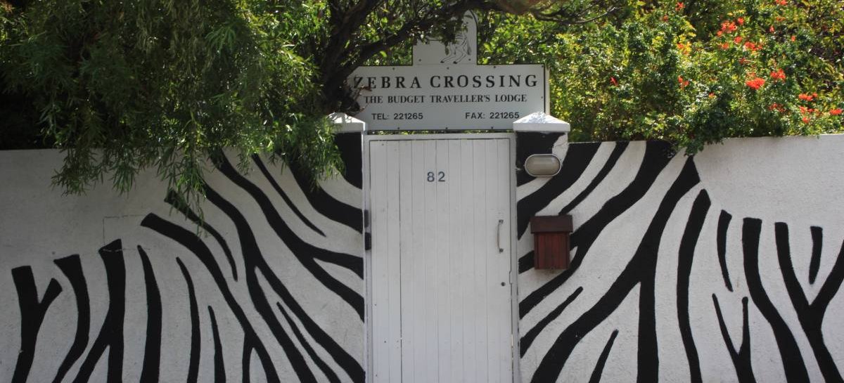 Zebra Crossing, Cape Town, South Africa