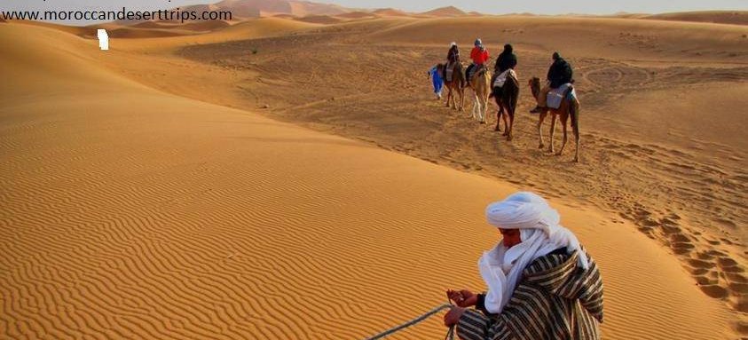 Merzouga Camel Treck, Merzouga, Morocco