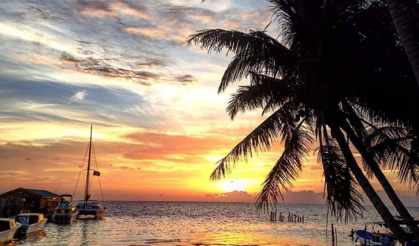 Go Slow Guesthouse - Search available rooms and beds for hostel and hotel reservations in Caye Caulker 6 photos