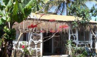 Easter Island Hostel, where to rent an apartment or aparthostel 3 photos