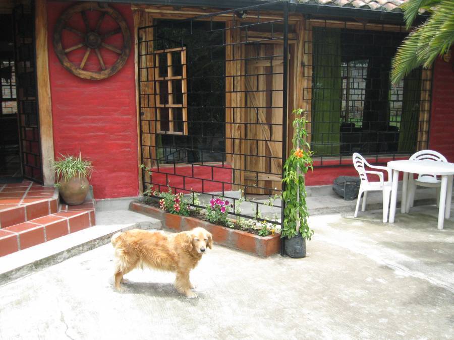 Arie's Cabin Hostel and Bike Company, Puembo, Ecuador, Ecuador hostels and hotels