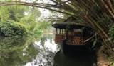 Rain Forest Ayur County Resort -  Kottayam 33 photos