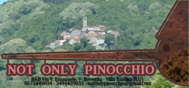 BnB Not only Pinocchio, Lucca, Italy, Italy hostels and hotels