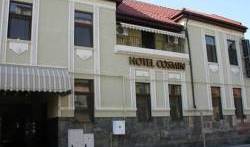 Hotel Cosmin - Rechercher des chambres libres et des taux bas garantis dans Arad 22 Photos