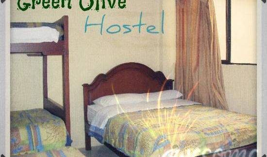 Olive Hostel 1 photo