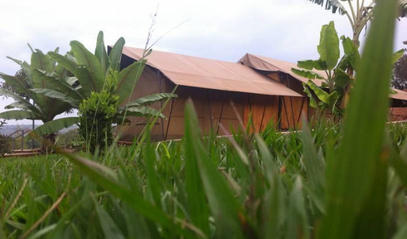 Discover Rwanda Kayonza Eco-Lodge - Get cheap hostel rates and check availability in Rwamagana 44 photos